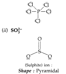 Important Questions for Class 12 Chemistry Chapter 7 The p-Block Elements Class 12 Important Questions 64