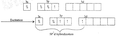 Important Questions for Class 12 Chemistry Chapter 7 The p-Block Elements Class 12 Important Questions 65