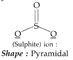 Important Questions for Class 12 Chemistry Chapter 7 The p-Block Elements Class 12 Important Questions 70