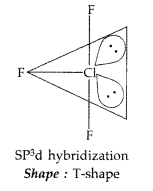 Important Questions for Class 12 Chemistry Chapter 7 The p-Block Elements Class 12 Important Questions 73