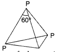 Important Questions for Class 12 Chemistry Chapter 7 The p-Block Elements Class 12 Important Questions 75