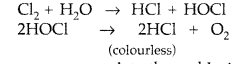 Important Questions for Class 12 Chemistry Chapter 7 The p-Block Elements Class 12 Important Questions 76
