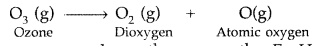 Important Questions for Class 12 Chemistry Chapter 7 The p-Block Elements Class 12 Important Questions 79