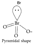 Important Questions for Class 12 Chemistry Chapter 7 The p-Block Elements Class 12 Important Questions 84