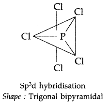Important Questions for Class 12 Chemistry Chapter 7 The p-Block Elements Class 12 Important Questions 9