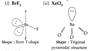 Important Questions for Class 12 Chemistry Chapter 7 The p-Block Elements Class 12 Important Questions 92