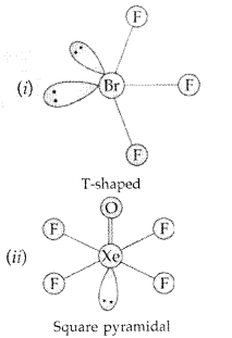 Important Questions for Class 12 Chemistry Chapter 7 The p-Block Elements Class 12 Important Questions 97