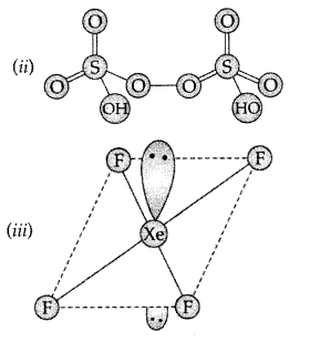 Important Questions for Class 12 Chemistry Chapter 7 The p-Block Elements Class 12 Important Questions 98