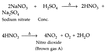 Important Questions for Class 12 Chemistry Chapter 7 The p-Block Elements Class 12 Important Questions 99
