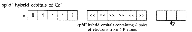 Important Questions for Class 12 Chemistry Chapter 9 Coordination Compounds Class 12 Important Questions 12