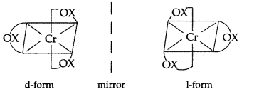 Important Questions for Class 12 Chemistry Chapter 9 Coordination Compounds Class 12 Important Questions 16