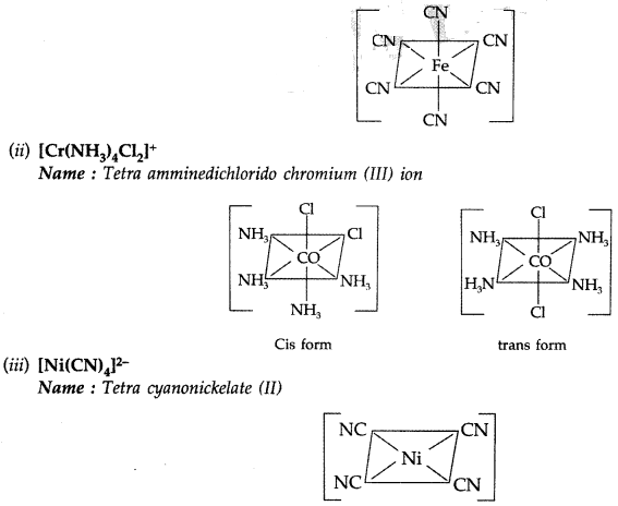 Important Questions for Class 12 Chemistry Chapter 9 Coordination Compounds Class 12 Important Questions 18