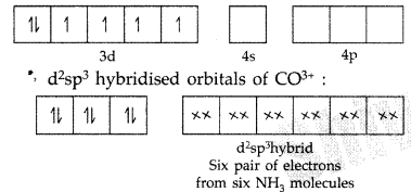 Important Questions for Class 12 Chemistry Chapter 9 Coordination Compounds Class 12 Important Questions 2