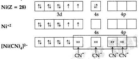 Important Questions for Class 12 Chemistry Chapter 9 Coordination Compounds Class 12 Important Questions 20