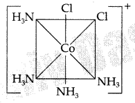Important Questions for Class 12 Chemistry Chapter 9 Coordination Compounds Class 12 Important Questions 22
