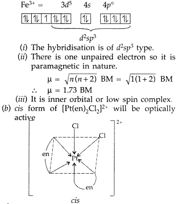 Important Questions for Class 12 Chemistry Chapter 9 Coordination Compounds Class 12 Important Questions 28