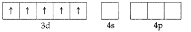Important Questions for Class 12 Chemistry Chapter 9 Coordination Compounds Class 12 Important Questions 3