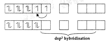 Important Questions for Class 12 Chemistry Chapter 9 Coordination Compounds Class 12 Important Questions 32