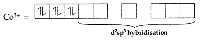 Important Questions for Class 12 Chemistry Chapter 9 Coordination Compounds Class 12 Important Questions 34
