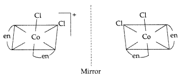 Important Questions for Class 12 Chemistry Chapter 9 Coordination Compounds Class 12 Important Questions 35