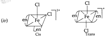Important Questions for Class 12 Chemistry Chapter 9 Coordination Compounds Class 12 Important Questions 5