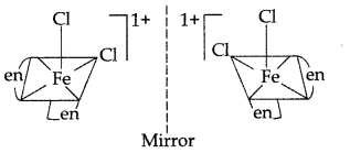 Important Questions for Class 12 Chemistry Chapter 9 Coordination Compounds Class 12 Important Questions 6