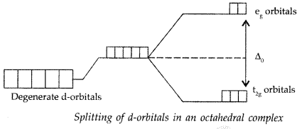Important Questions for Class 12 Chemistry Chapter 9 Coordination Compounds Class 12 Important Questions 8
