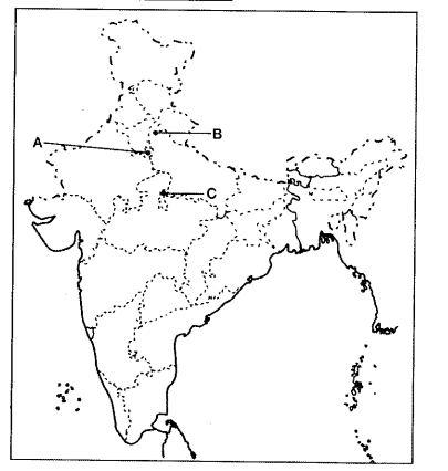 Important Questions for Class 12 History Chapter 11 Rebels and the Raj The Revolt of 1857 and its Representations Q14