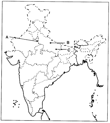 Important Questions for Class 12 History Chapter 11 Rebels and the Raj The Revolt of 1857 and its Representations Q15