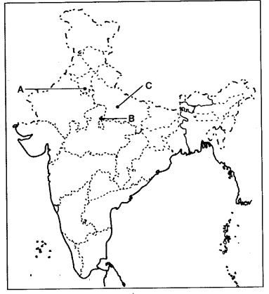 Important Questions for Class 12 History Chapter 11 Rebels and the Raj The Revolt of 1857 and its Representations Q16