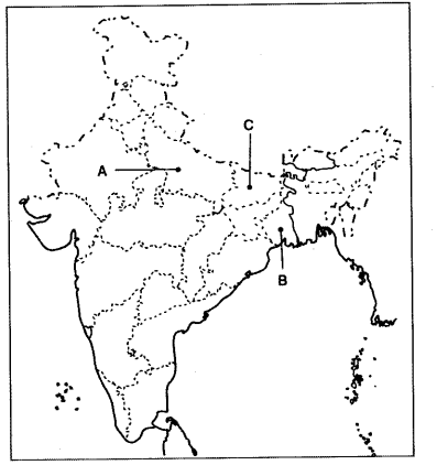 Important Questions for Class 12 History Chapter 11 Rebels and the Raj The Revolt of 1857 and its Representations Q17