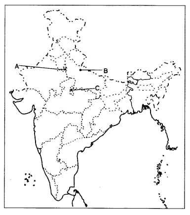 Important Questions for Class 12 History Chapter 11 Rebels and the Raj The Revolt of 1857 and its Representations Q18