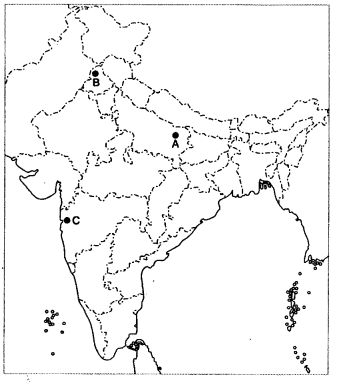 Important-Questions-for-Class-12-History-Chapter-14-Understanding-Partition-Politics-Memories-Experiences-Q18