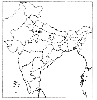 Important Questions for Class 12 History Chapter 14 Understanding Partition (Politics, Memories, Experiences) Q19