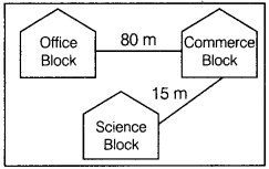 Informatics Practices Class 12 Important Questions Chapter 1 Computer Networking 6