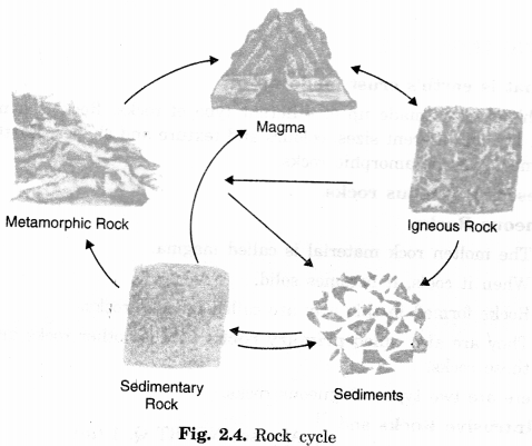 Inside Our Earth Class 7 Extra Questions Geography Chapter 2 - 4