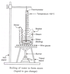 Lakhmir SIngh Class 9 Chemistry Image 57