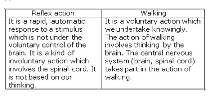 Lakhmir Singh Biology Class 10 Solutions Control and Coordination 7