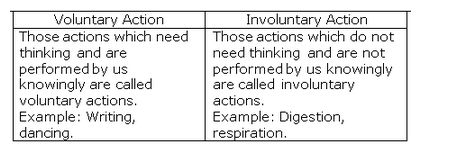Lakhmir Singh Biology Class 10 Solutions Control and Coordination 9