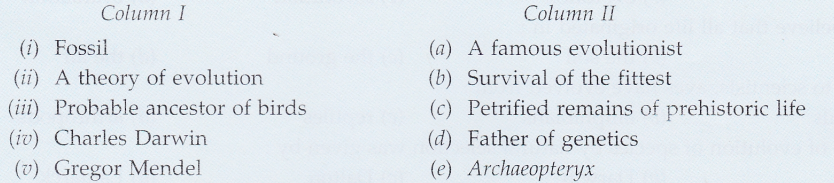 Lakhmir Singh Biology Class 10 Solutions Heredity and Evolution 2