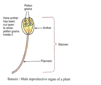 Lakhmir Singh Biology Class 10 Solutions How do Organisms Reproduce 10