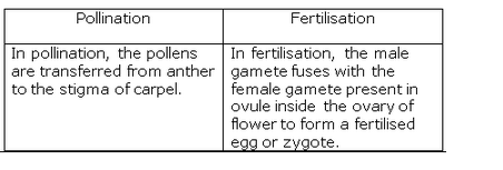 Lakhmir Singh Biology Class 10 Solutions How do Organisms Reproduce 12