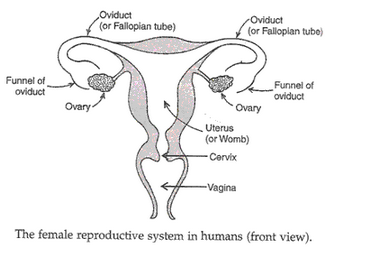Lakhmir Singh Biology Class 10 Solutions How do Organisms Reproduce 19