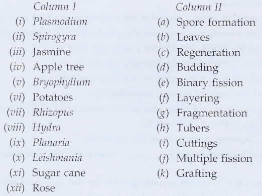 Lakhmir Singh Biology Class 10 Solutions How do Organisms Reproduce 3