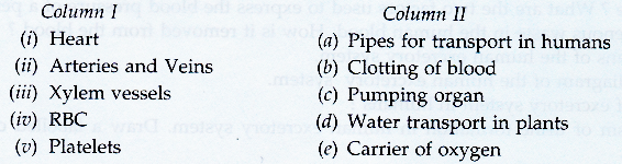 Lakhmir Singh Biology Class 10 Solutions Life Processes 14