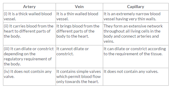 Lakhmir Singh Biology Class 10 Solutions Life Processes 16