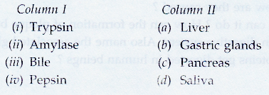 Lakhmir Singh Biology Class 10 Solutions Life Processes 2