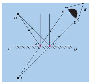 Lakhmir Singh Science Class 8 Solutions Chapter 16 Light 4