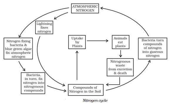 Lakhmir-Singh-Science-Class-8-Solutions-Chapter-2-Micro-Organisms-Friends-and-Foe-1