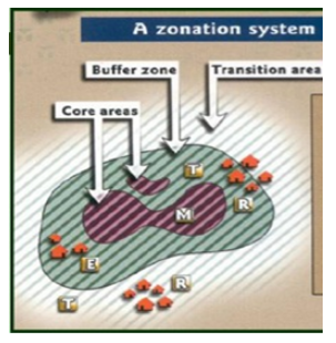 Lakhmir-Singh-Science-Class-8-Solutions-Chapter-7-Conservation-of-Plants-and-Animals-1